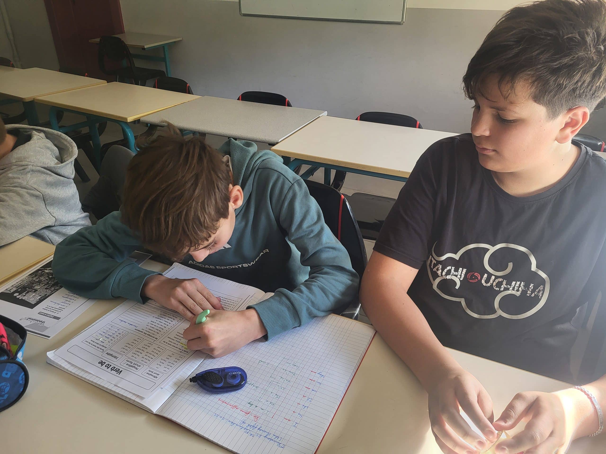 entraide devoirs college