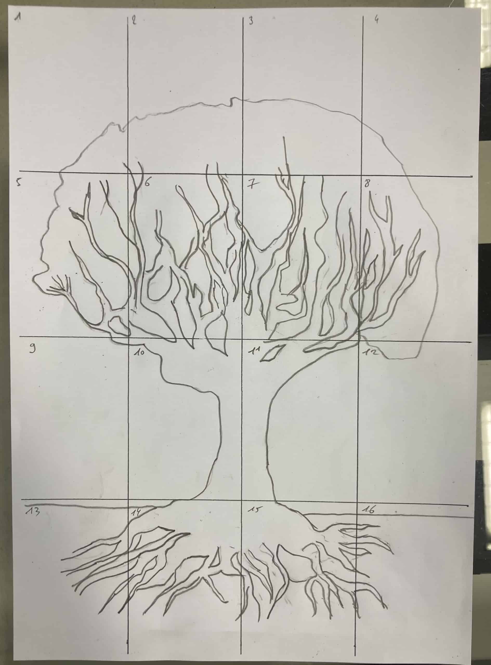 arbre open nature