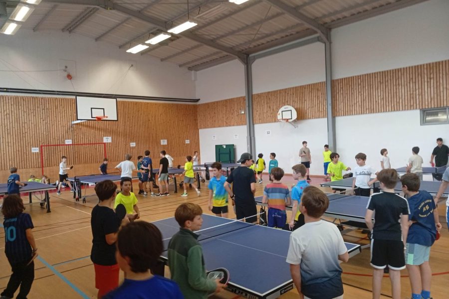 tennis de table UGSEL