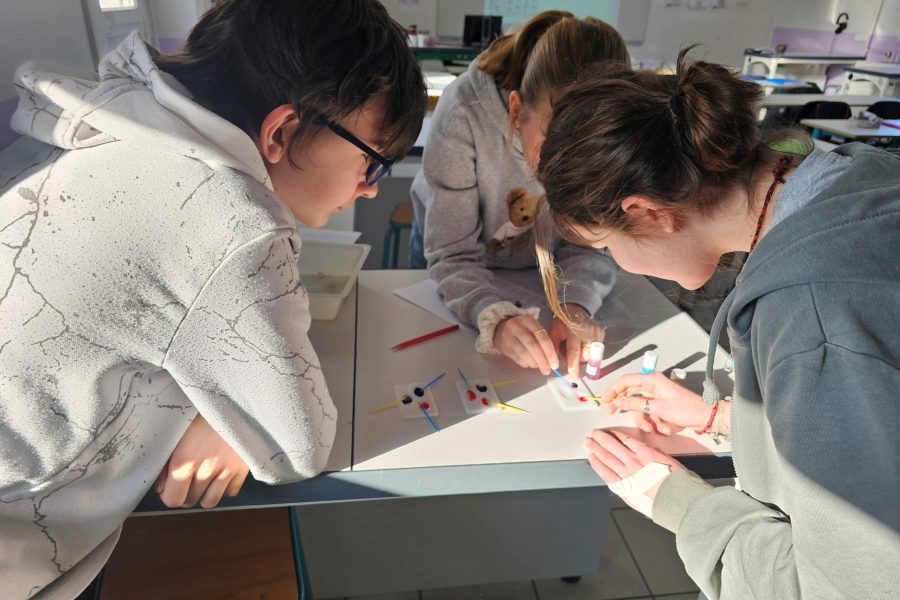enquête ADN collège sacré coeur